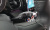 Mini Cooper 5Door Classic, 2023