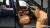 Hyundai Palisade Gasoline 2.5T 2WD 9-Seater, 2025