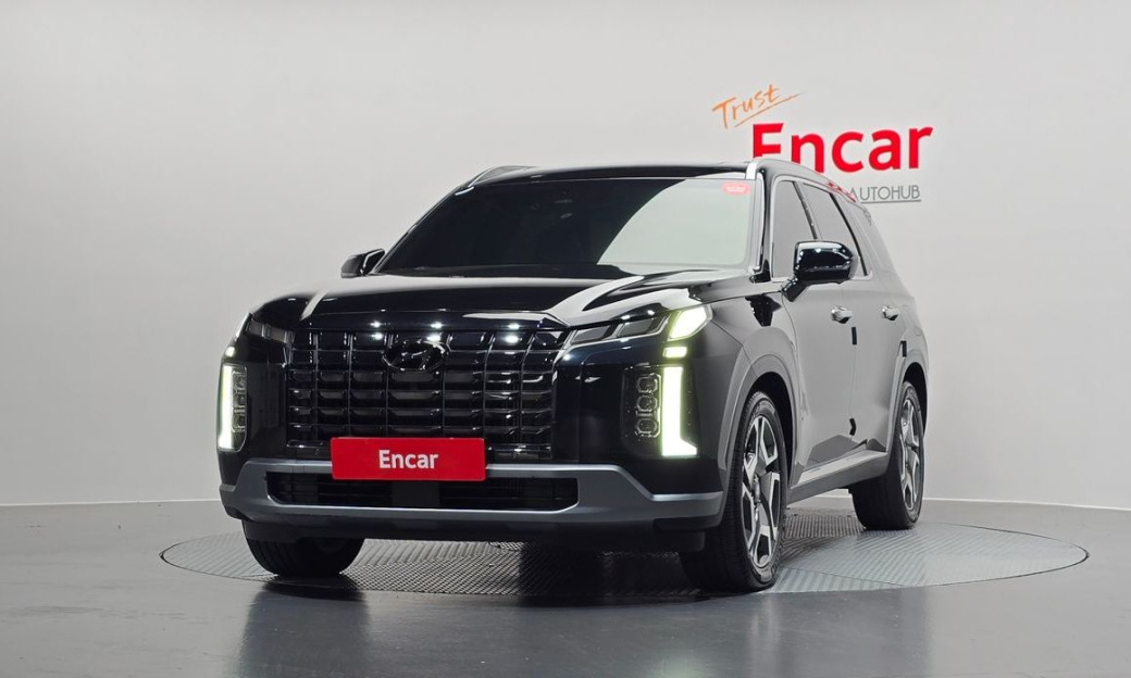 Hyundai Palisade Diesel 2.2 2WD, 2024