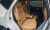 Genesis GV80 2.5T Gasoline AWD, 2023