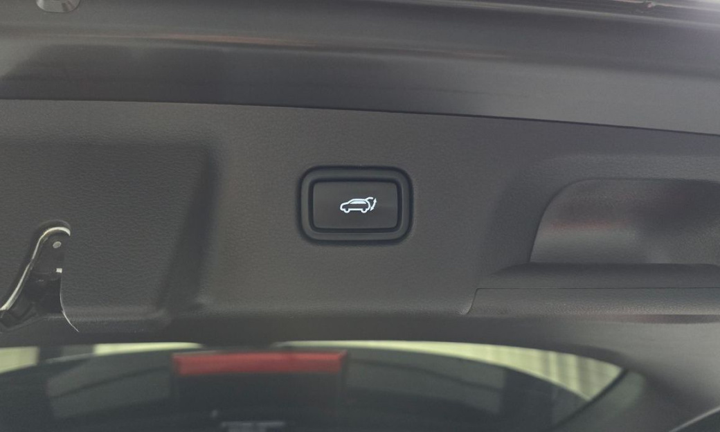 Hyundai Palisade Diesel 2.2 2WD, 2024
