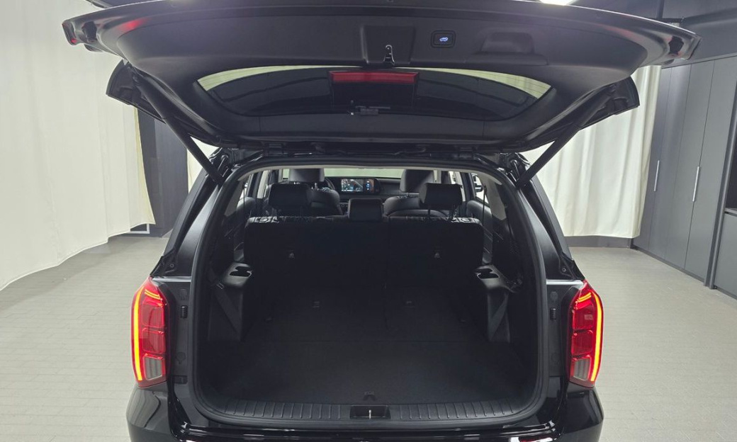 Hyundai Palisade Diesel 2.2 2WD, 2024