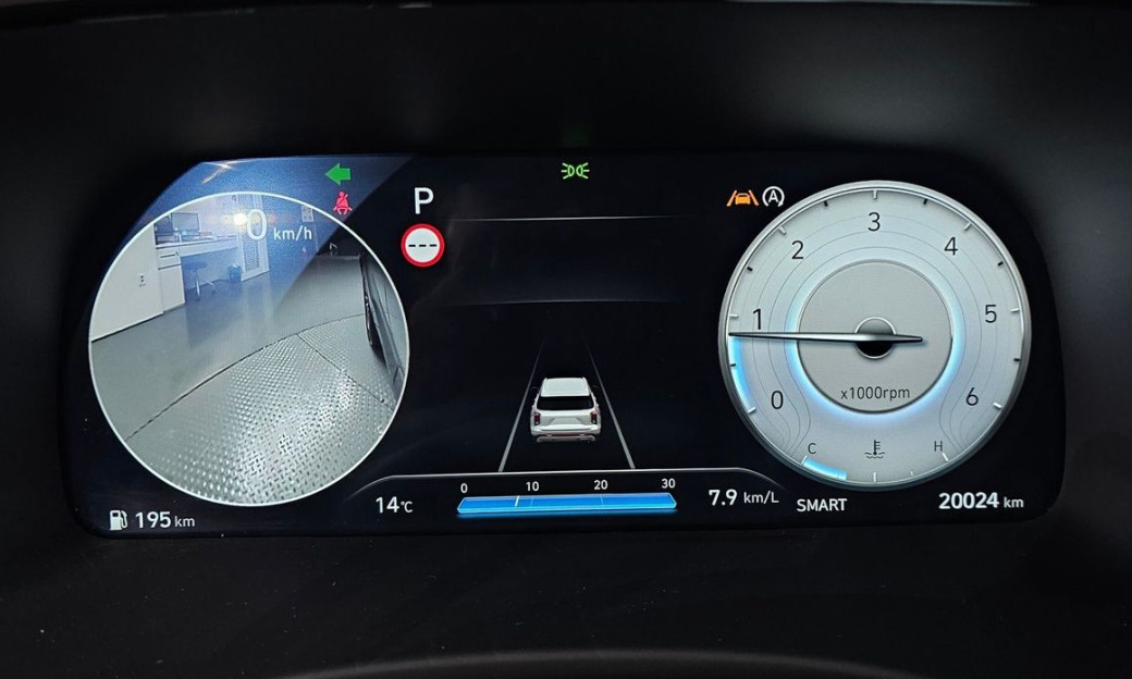 Hyundai Palisade Diesel 2.2 2WD, 2024