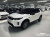 Land Rover Discovery Sport P250 Dynamic SE, 2025