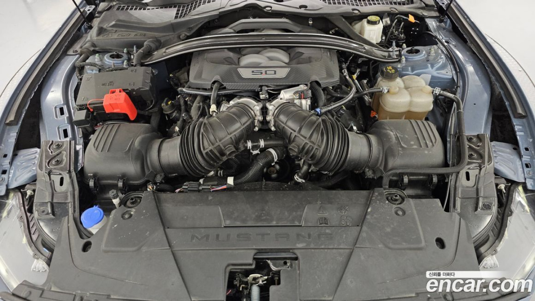 Ford Mustang 5.0 GT Premium Coupe, 2024