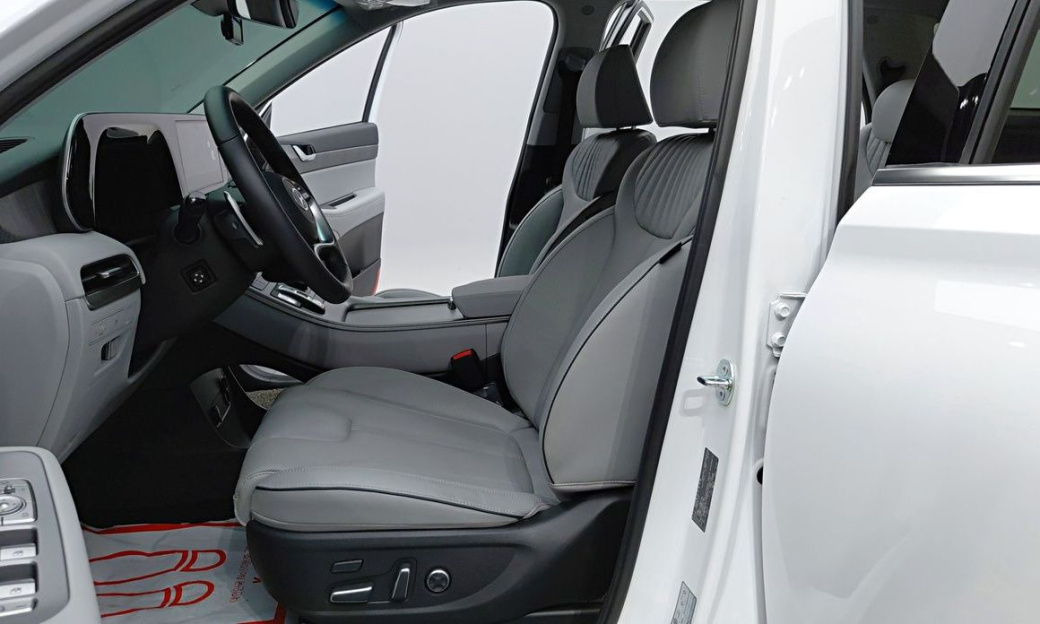 Hyundai Palisade Diesel 2.2 2WD, 2024