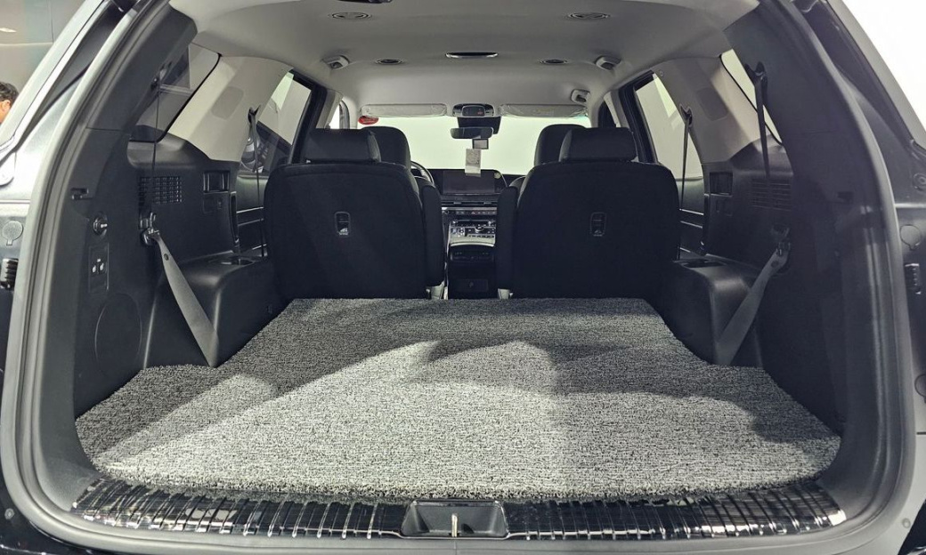 Hyundai Palisade Diesel 2.2 2WD, 2024