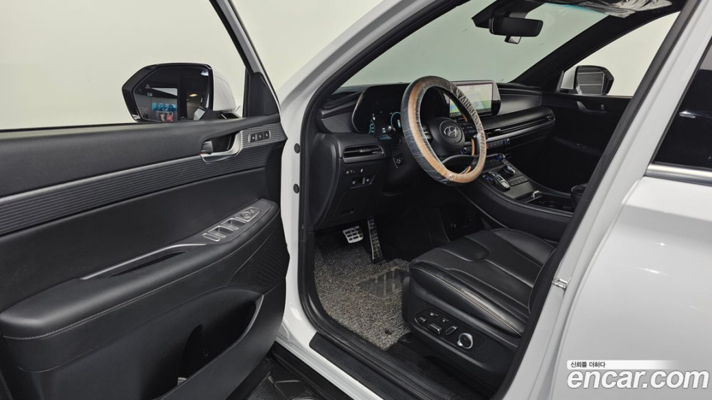 Hyundai Palisade Diesel 2.2 2WD, 2024