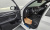 BMW X3 xDrive 20i M Sport, 2022