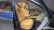Genesis GV80 2.5T Gasoline AWD, 2021