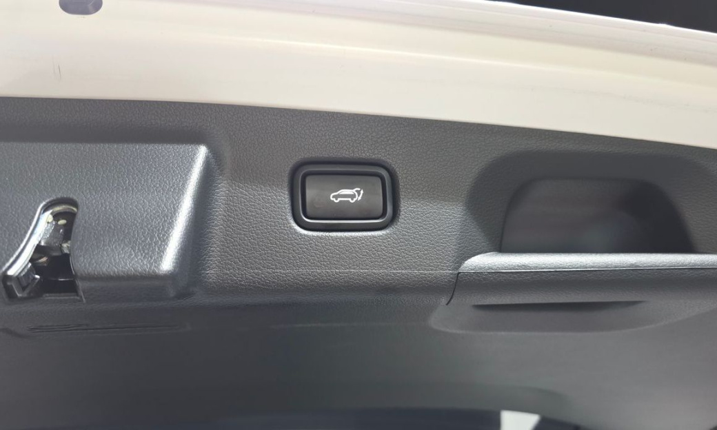 Hyundai Palisade Diesel 2.2 2WD, 2024