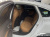 Audi A5 40 TFSI Quattro S Line, 2025