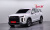 Hyundai Palisade Diesel 2.2 2WD, 2024
