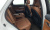 Genesis GV70 2.5T Gasoline 2WD, 2023