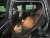 BMW X4 xDrive20d M Sport, 2025