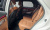Genesis GV70 2.5T Gasoline AWD, 2025