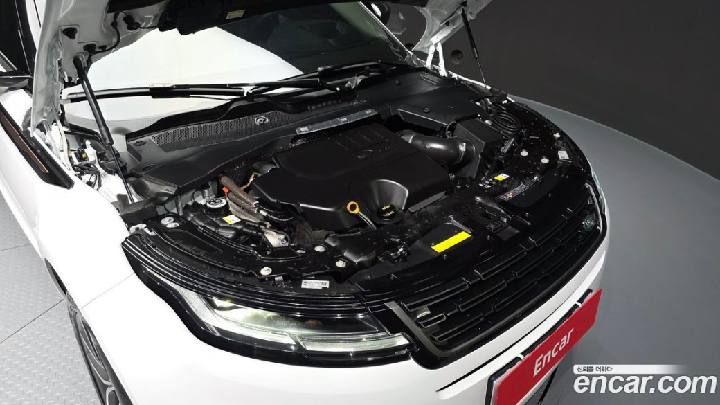 Land Rover Range Rover Evoque P250 Dynamic SE, 2025