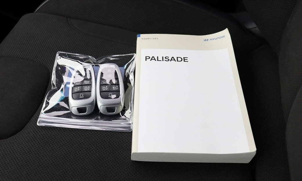 Hyundai Palisade Diesel 2.2 2WD, 2024