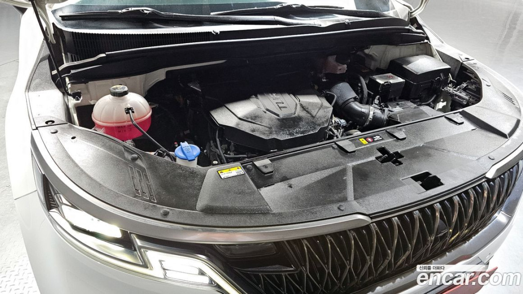 Kia Carnival 9-Seater Hi-Limousine(Special Vehicle), 2022