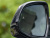 BMW X5 3.0 AT, 2022, 41 000 км