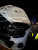BMW 5-Series 530i xDrive M Sport, 2024