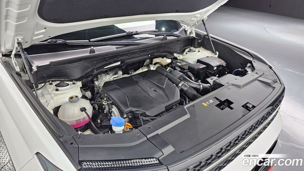 Hyundai Santafe Gasoline 2.5T 4WD, 2024