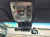 Genesis GV70 2.5T Gasoline 2WD, 2023