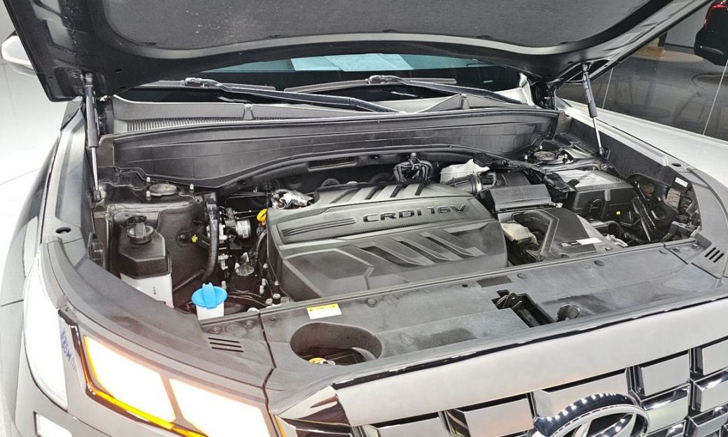 Hyundai Palisade Diesel 2.2 2WD, 2024