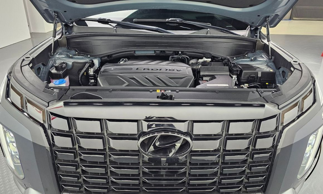 Hyundai Palisade Diesel 2.2 2WD, 2024