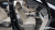 Kia Carnival 9-Seater Signature, 2025