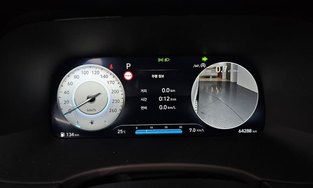 Hyundai Palisade Diesel 2.2 2WD, 2024