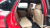 Porsche Cayenne 3.0, 2023