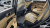 Kia Sorento Gasoline 2.5T 2WD, 2024