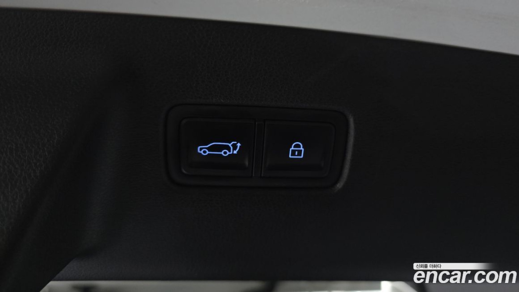 Hyundai Santafe Gasoline 2.5T 4WD, 2024