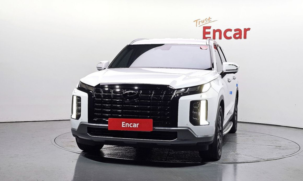 Hyundai Palisade Diesel 2.2 2WD, 2024