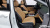 Kia Carnival 7-Seater Signature, 2023