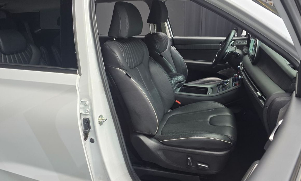 Hyundai Palisade Diesel 2.2 2WD, 2024