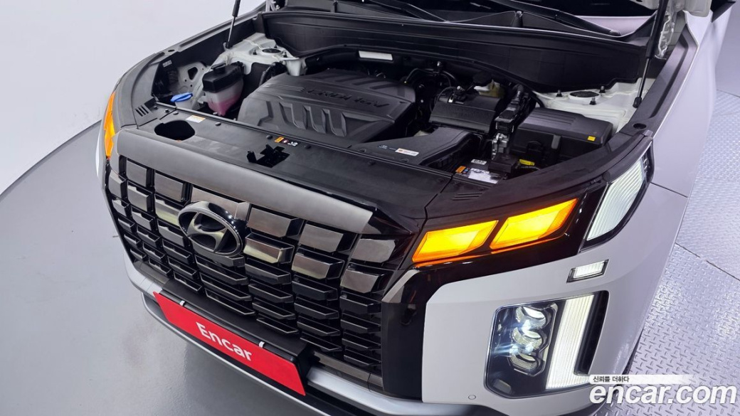 Hyundai Palisade Diesel 2.2 4WD, 2024