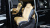Kia Carnival 9-Seater Signature, 2023