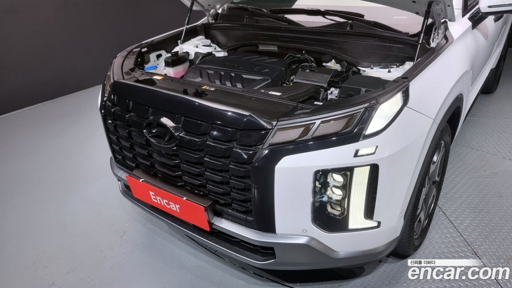 Hyundai Palisade Diesel 2.2 2WD, 2024