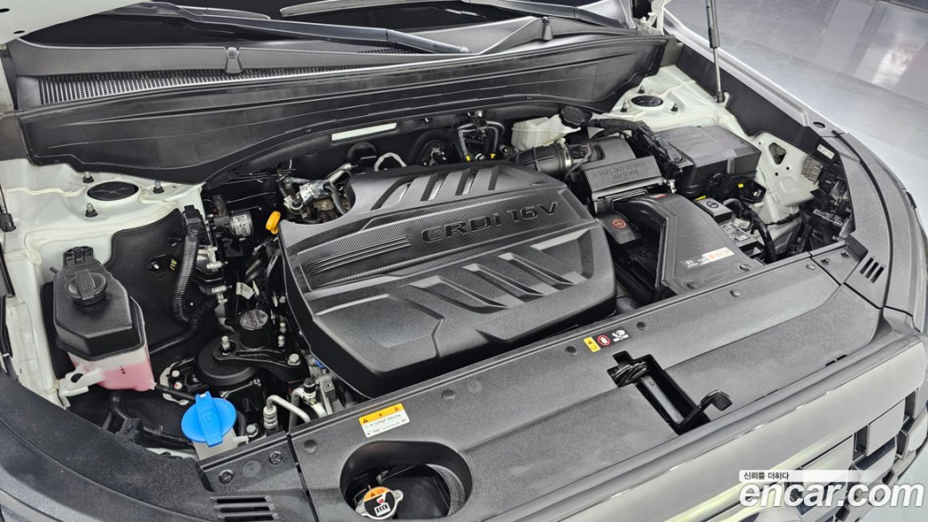 Hyundai Palisade Diesel 2.2 2WD, 2024