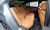 BMW 5-Series 520i M Sport, 2023