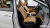 Kia Carnival 9-Seater Signature, 2023