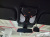 BMW X4M 3.0 Competition, 2024
