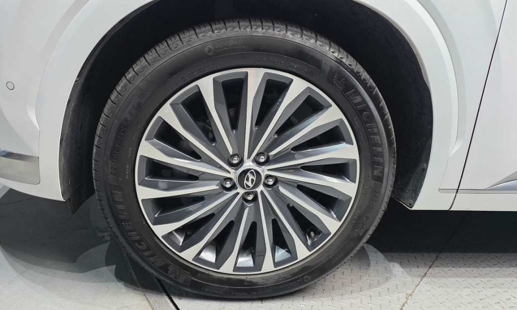Hyundai Palisade Diesel 2.2 2WD, 2024