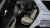 Hyundai Palisade Diesel 2.2 2WD, 2022