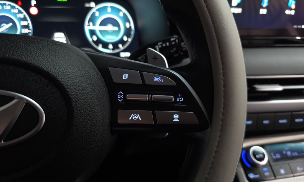 Hyundai Palisade Diesel 2.2 2WD, 2024
