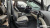 Kia Carnival 9-Seater Signature, 2024