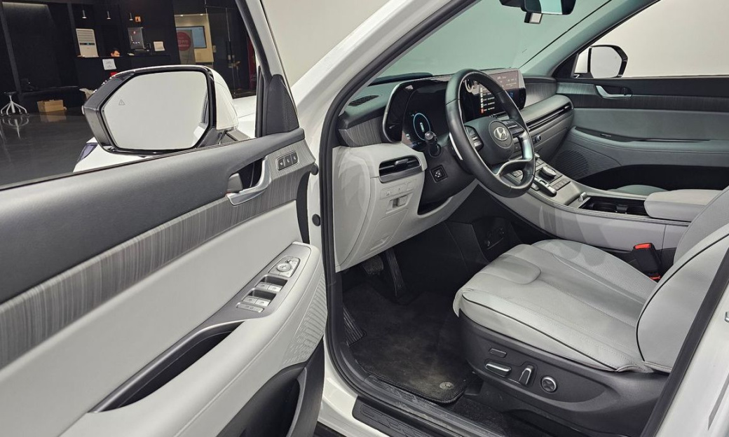 Hyundai Palisade Diesel 2.2 2WD, 2024