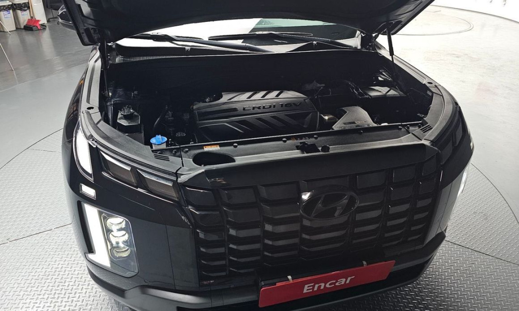 Hyundai Palisade Diesel 2.2 2WD, 2024